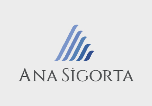ana-sigorta